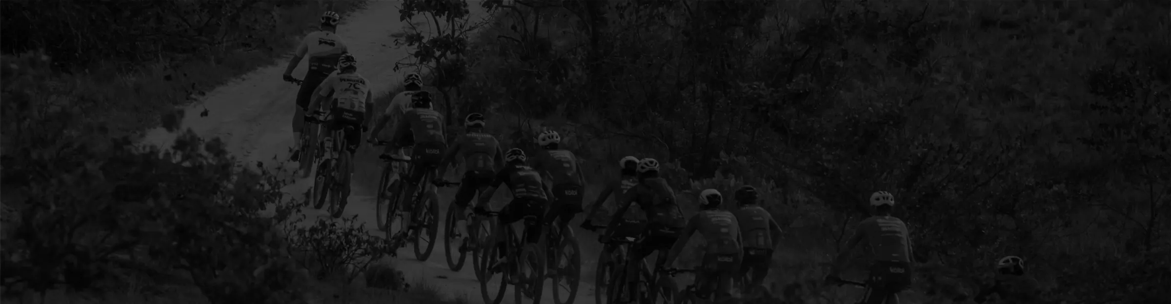 Ciclistas recorriendo la ruta 65K